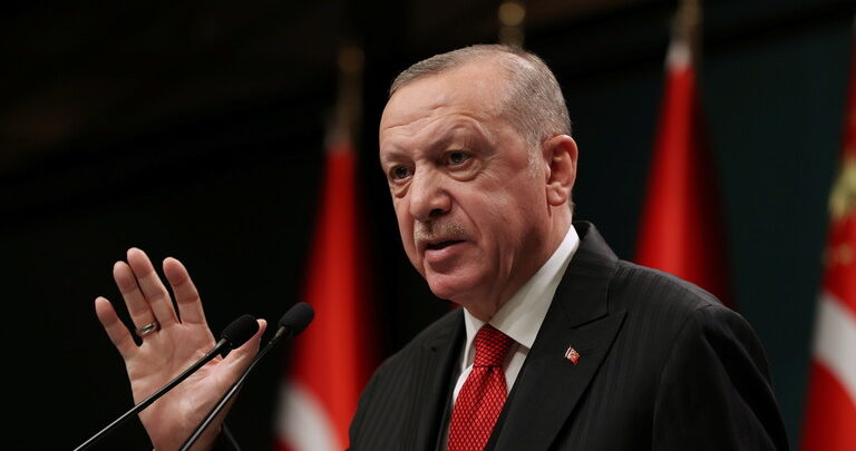 أردوغان يدعو الأحزاب في بلاده لدعم صياغة دستور جديد لتركيا