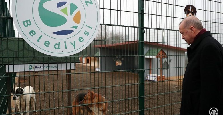 تركيا : أردوغان يتفقد مركزا لرعاية الحيوانات في إسطنبول (صور)
