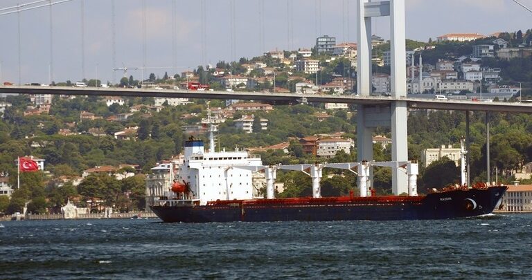 تركيا: سفينتان تحملان الحبوب الأوكرانية غادرتا ميناء تشورنومورسك