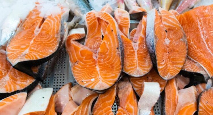 363 مليون دولار صادرات تركيا من سمك السلمون