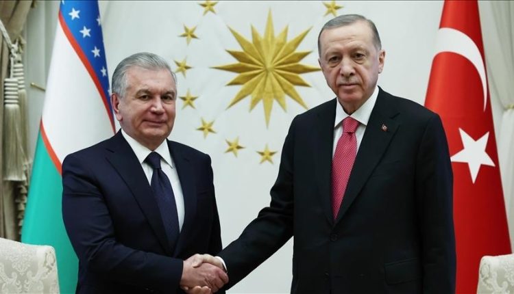 أردوغان يهنئ الرئيس الأوزبكي بتسلمه السيارة التركية “توغ”